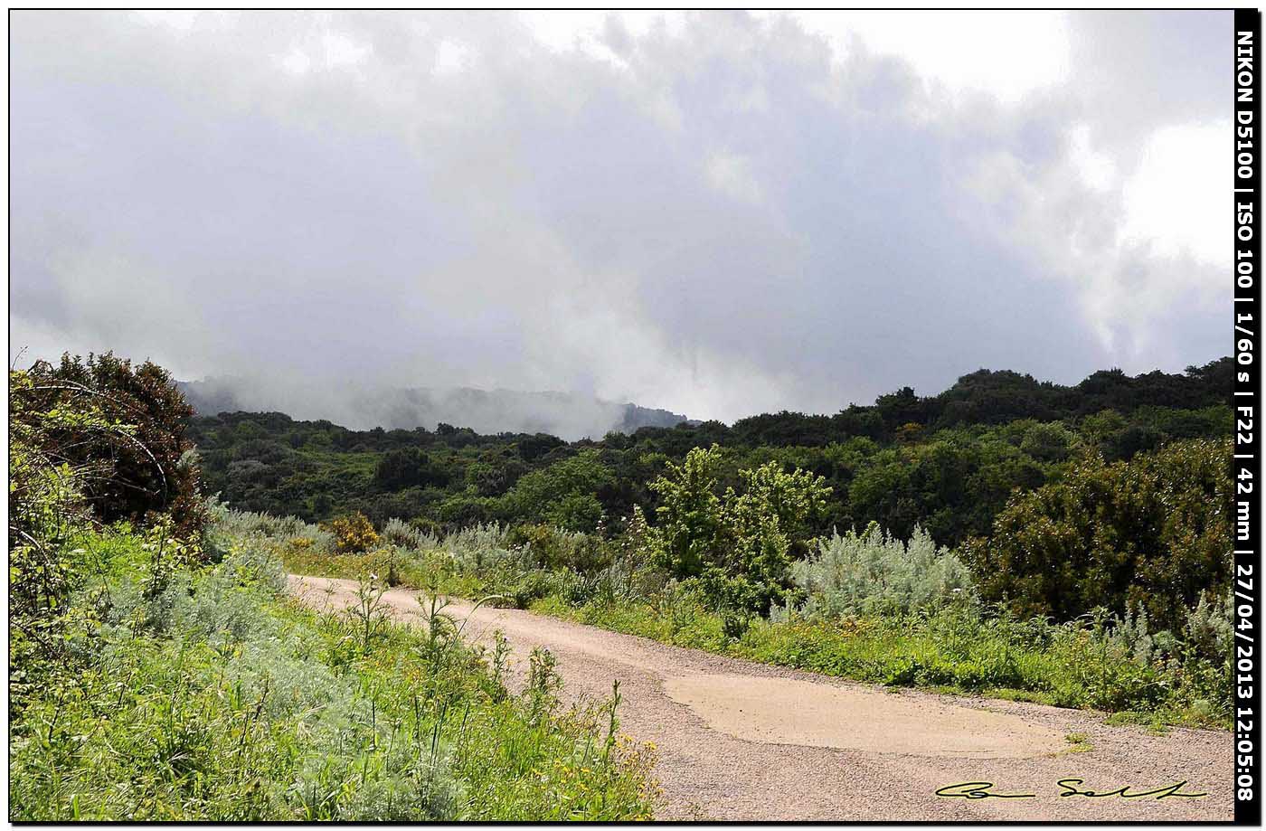 Escursione in Sardegna 25-04  06-05-2013 - Bosa